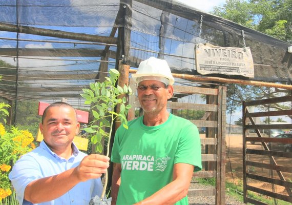 Viveiro de Arapiraca tem planta exótica mexicana