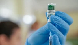Dengue: Anvisa cria grupo para avaliar segurança da vacina do Butantan