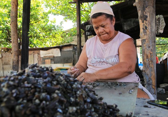 Projeto de lei na Assembleia Legislativa institui o Dia Estadual da Marisqueira