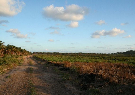 PGE se manifesta contrária a obra do Aeroporto de Maragogi