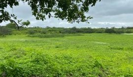 Fazenda de 780 tarefas será leiloada pela VT de Santana do Ipanema no dia 10