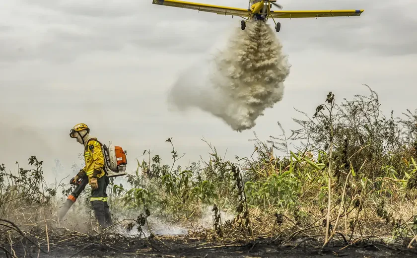 Pantanal: redução da área alagada tem favorecido aumento de incêndios