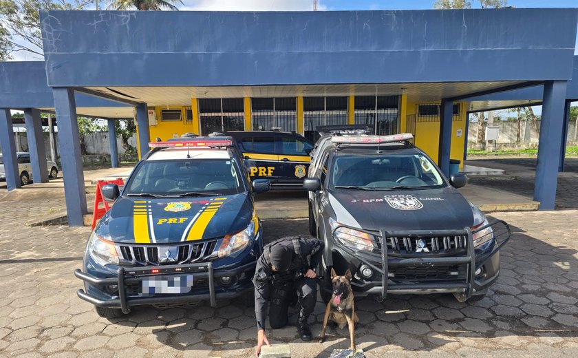PRF e PM/AL em operação conjunta, apreendem mais de 15 kg de maconha em São Sebastião