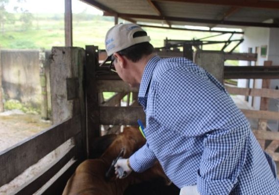 Adeal alerta sobre a importância da vacinação dos animais contra a raiva