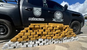 Quase 98 quilos de maconha são apreendidos em carreta na divisa entre Alagoas e Sergipe