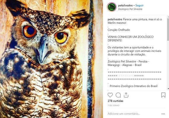 Zoológico em Maragogi tem certificado de Bem Estar Animal