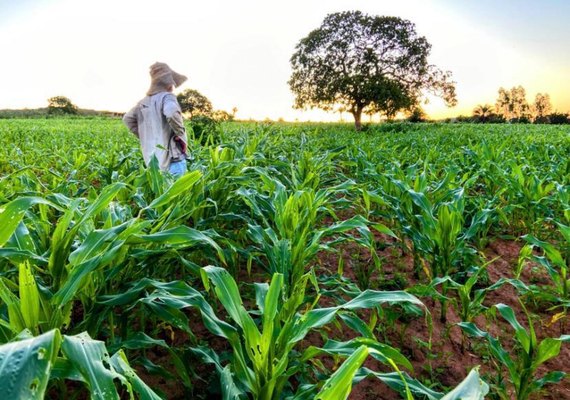 Governador encaminha à ALE projetos de lei que beneficiam a agricultura familiar