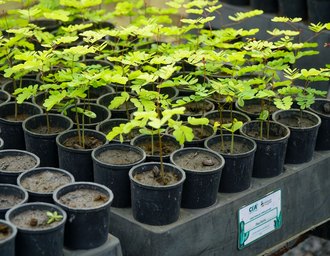 MVV conquista 6º Selo Ouro no Programa GHG com baixa na emissão de gases efeito estufa