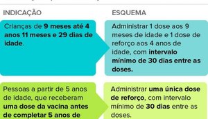 Ministério da Saúde estuda fracionar doses da vacina da febre amarela