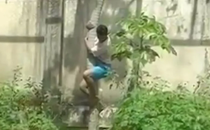 Homem é morto por leoa após entrar em jaula em zoológico de João Pessoa