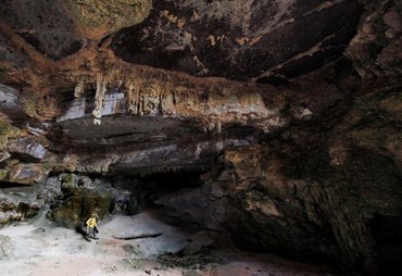 Estudo vai avaliar impacto do turismo na fauna de cavernas