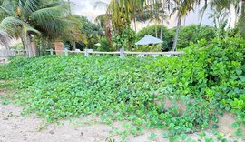 Alagoas é pioneira a nível internacional no uso de tecnologia do Sandbag