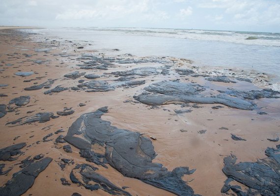 Bolsonaro relaciona vazamento de óleo nas praias do Nordeste à Dilma e ao PT
