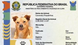 Secdef fará emissão de RG Animal para cães e gatos durante Pet Cidadão nesta quarta-feira