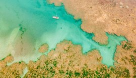 Projeto Corais de Alagoas avança no litoral do Estado