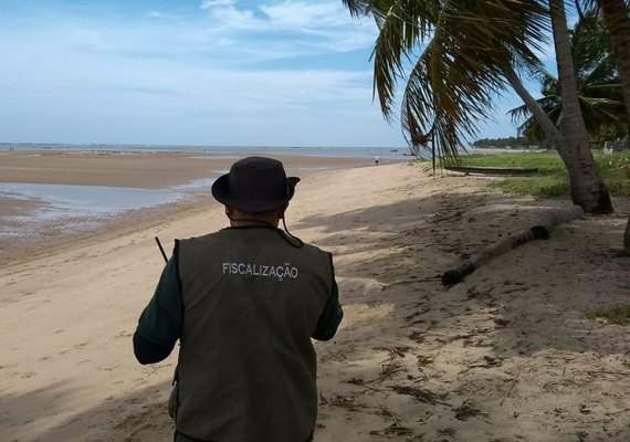 Operação Costa dos Corais: IMA emite 19 autos de infração