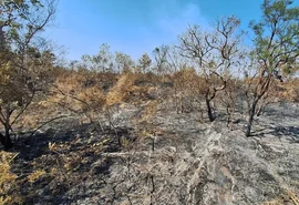 Mudanças climáticas já afetam 85% dos brasileiros, diz pesquisa
