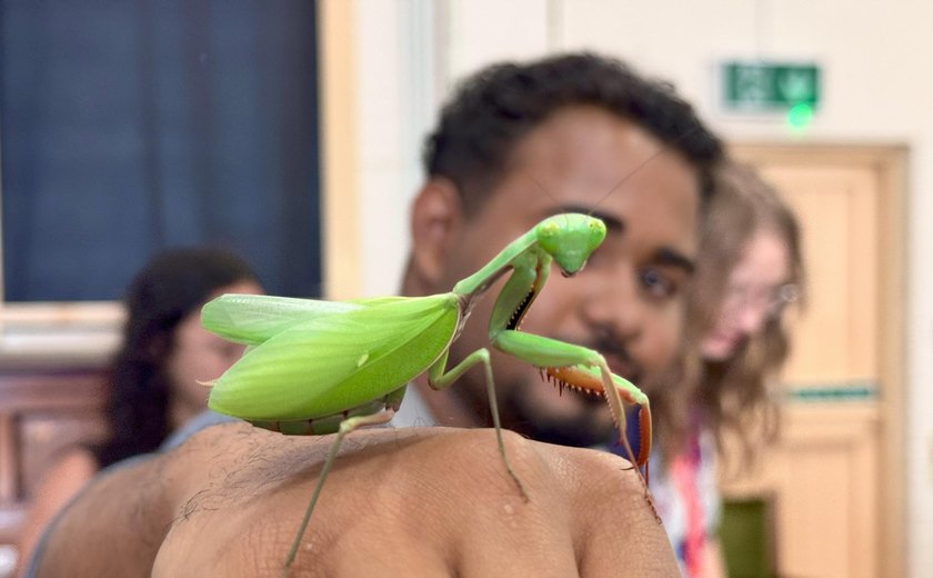Alunos alagoanos visitam museu de história natural em Bournemouth