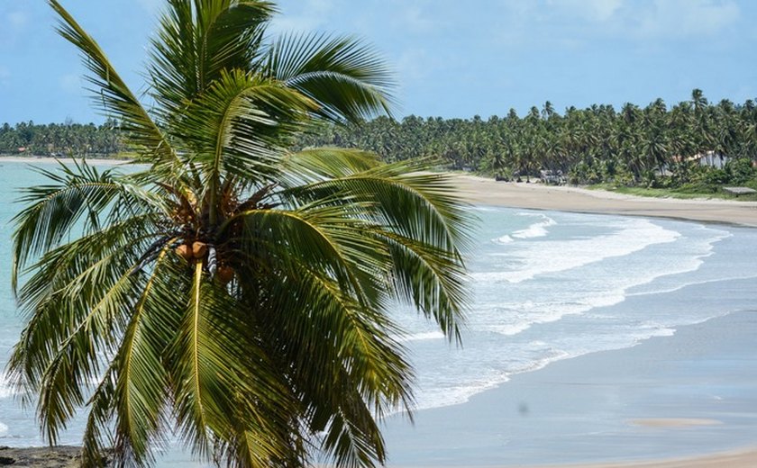 'A gente não tem mais orla, a gente tem ponto de visita': a Rota dos Milagres e a espoliação silenciosa no litoral norte de Alagoas