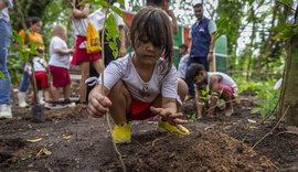 Dia da Árvore é comemorado com plantio de mudas no Parque Municipal