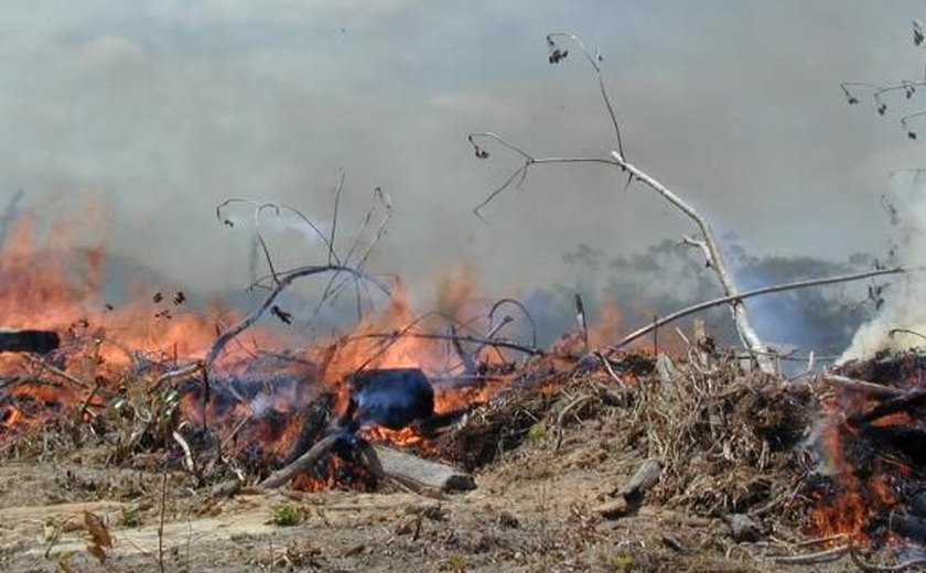 Pesquisadores comprovam que fumaça das queimadas da Amazônia pode causar câncer