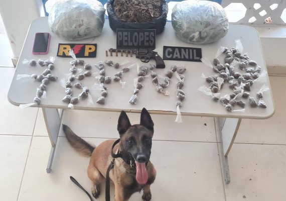PM apreende duas armas de fogo e mais de 3kg de droga com uma mulher no Sertão de Alagoas