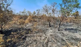 Mudanças climáticas já afetam 85% dos brasileiros, diz pesquisa