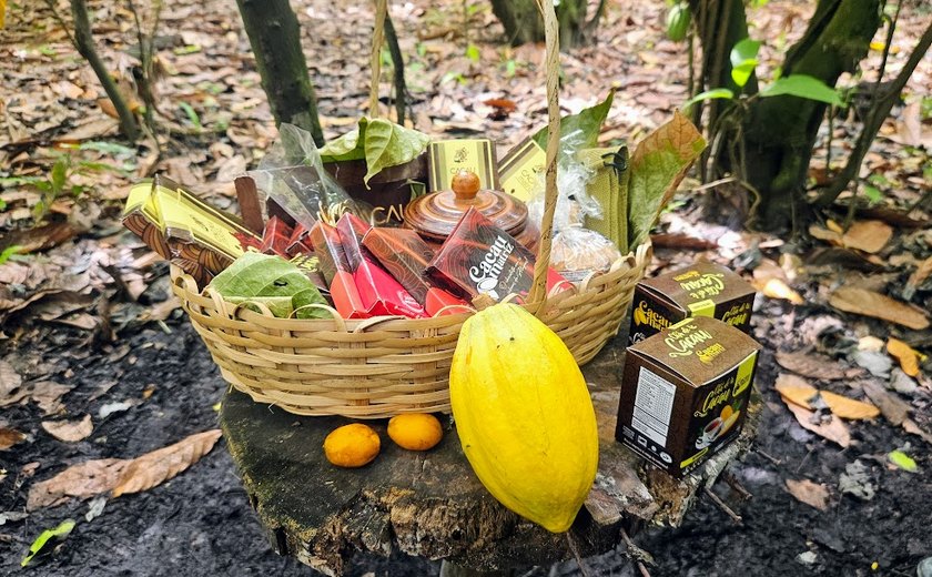 Matriz de Camaragibe ganha primeira fábrica de cacau