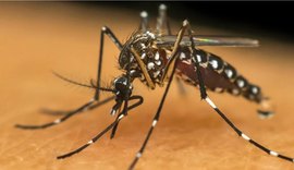 Primeiro repelente do mundo para roupas e superfícies é brasileiro e mata o mosquito da dengue em segundos