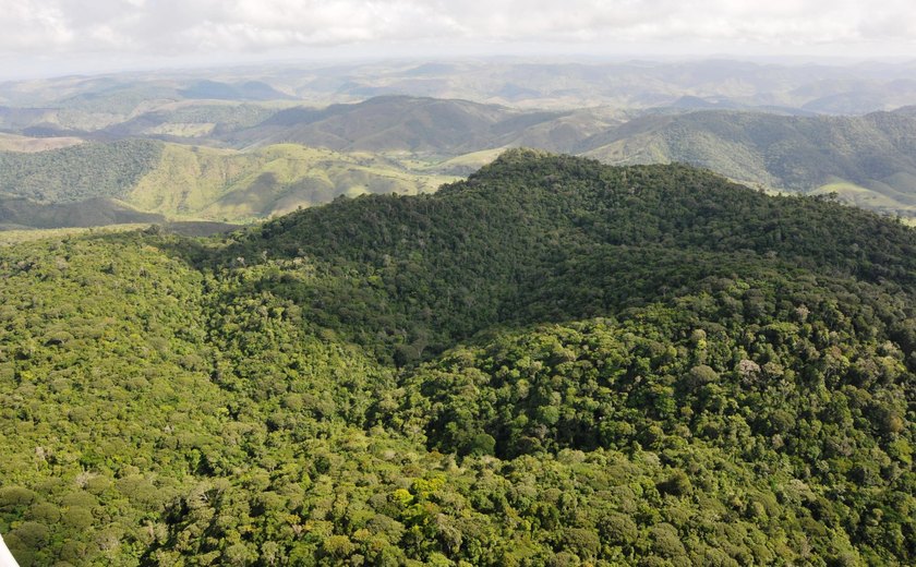 Alagoas tem o menor índice de desmatamento do Nordeste, mostra estudo
