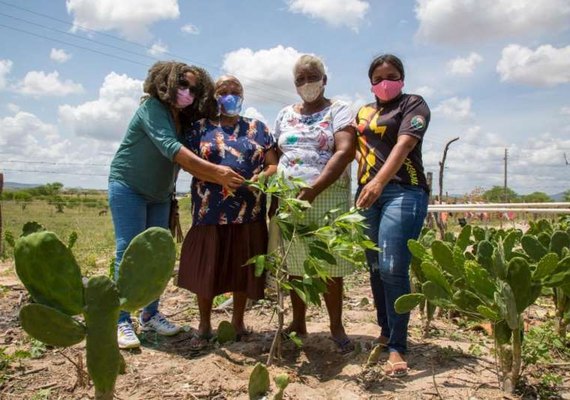 Apoiado pela Secom/ AL, projeto 'Um Quilombo de Baobás” chega ao Sertão
