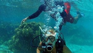 Operadores de mergulho lançam protocolo para retomada das atividades