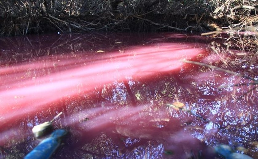 Análise mostra que alteração em rio com coloração rosa foi causada por tinta