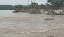 Vídeo: corpo é encontrado boiando no Rio Mundaú na cidade de Rio Largo