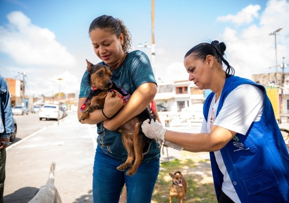Prefeitura de Maceió realiza último dia de vacinação antirrábica no próximo sábado(8)