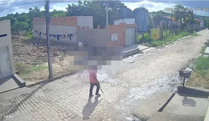Homem suspeito de agredir cachorro com pedaço de madeira é identificado em Arapiraca