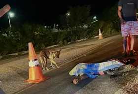 Homem morre após ser atropelado por caminhonete enquanto estava a cavalo na BR-104 em União dos Palmares