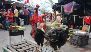 Feira da Reforma Agrária reúne 180 camponeses na Praça da Faculdade