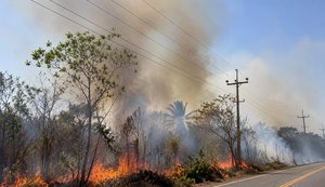 Equatorial Alagoas alerta para 177 ocorrências relacionadas a queimadas próximas à rede elétrica em 2026