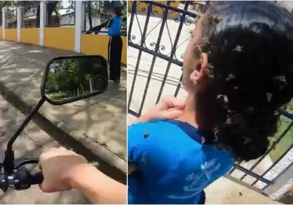 Motoboy enfrenta enxame, leva 40 picadas de abelha e salva menina de 12 anos
