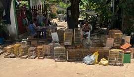 Batalhão Ambiental apreende armas e resgata 43 animais silvestres em Taquarana