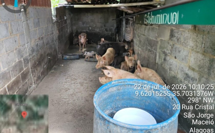 Fiscalização do Iplam fecha pocilga no São Jorge