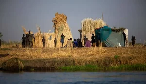 Fome mundial atinge 645 milhões de pessoas, diz relatório da ONU