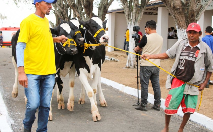36ª Expo Bacia Leiteira terá espaço para todo setor produtivo do leite