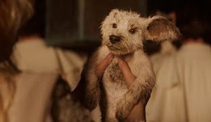 Supergirl ganha novo teaser com cenas inéditas e Krypto filhote