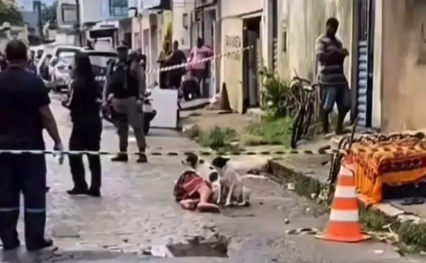 Amizade verdadeira: cachorro fica ao lado  do corpo de tutor morto em Maceió