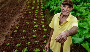 Cooperativas ganham acesso a fundos regionais