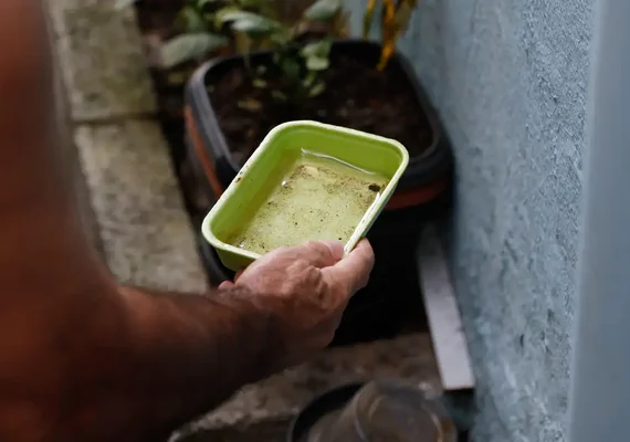 Chikungunya traz preocupações após uma década de presença no Brasil