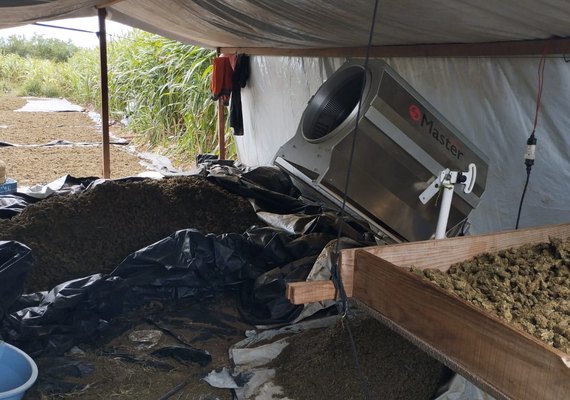 Polícia Federal apreende cerca de duas toneladas de maconha “gourmet”  na divisa de AL com PE