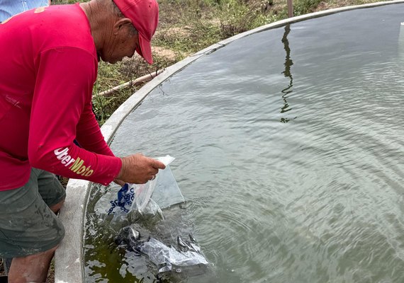 Governo de Alagoas distribui 270 mil alevinos e beneficia mais de 500 famílias em 13 municípios